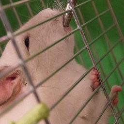 Oskrba z vodo – 2. del