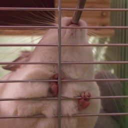 Oskrba z vodo – 1. del